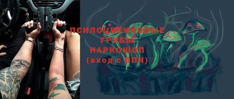 Галлюциногенные грибы мухоморы  Ладушкин 